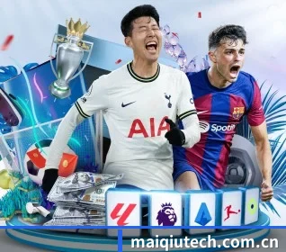本站五个常用功能入口,赛程查询路径更短 | MAIQIU